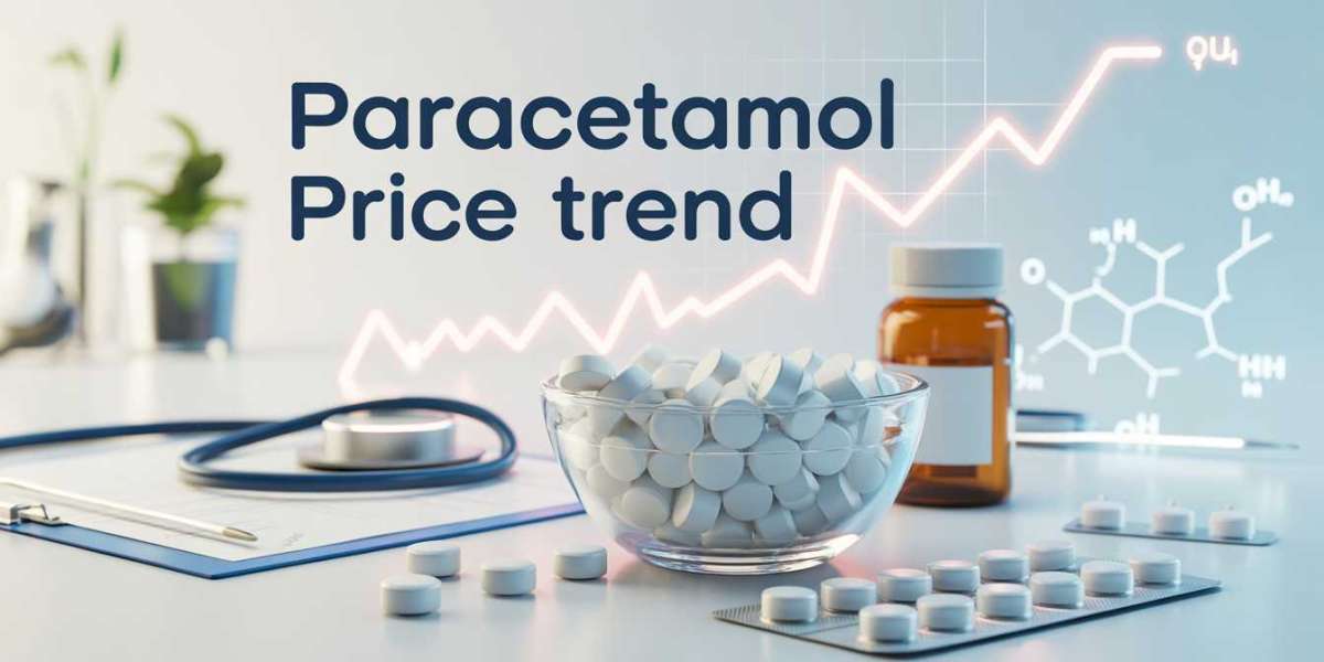 Paracetamol Price Trend: Key Market Insights and Future Outlook