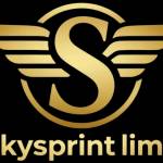 Skysprint Limo Profile Picture