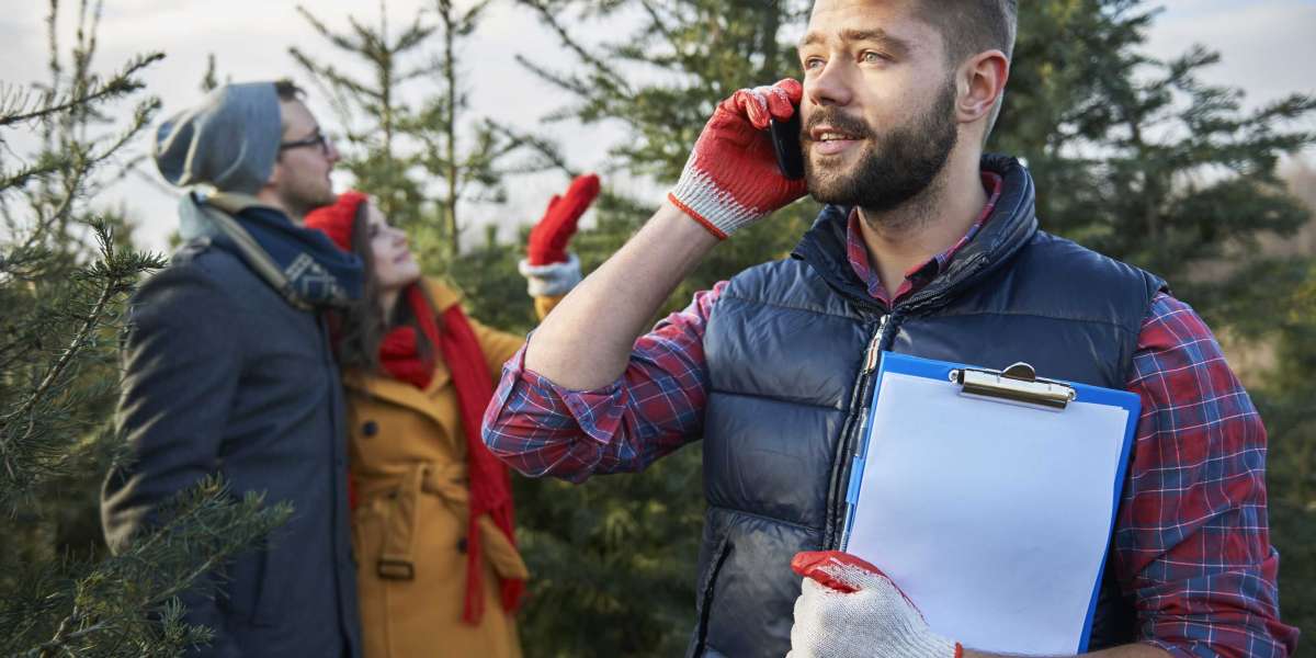 Forestry Services Vermont: Supporting Sustainable Land Management