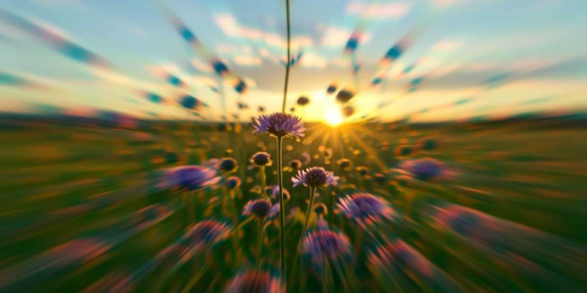 Explore Stunning Landscapes: Tips to Appreciate the Best Digital Nature Art