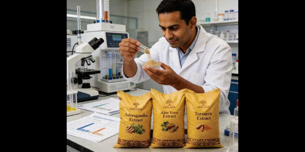 Ashwagandha Extract Manufacturers | Sourcing Guide India