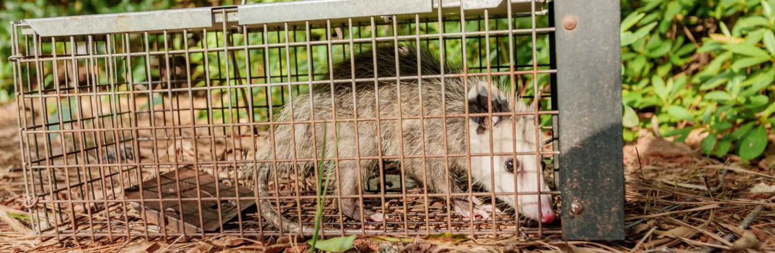 Fresh Possum Specialist Cover Image