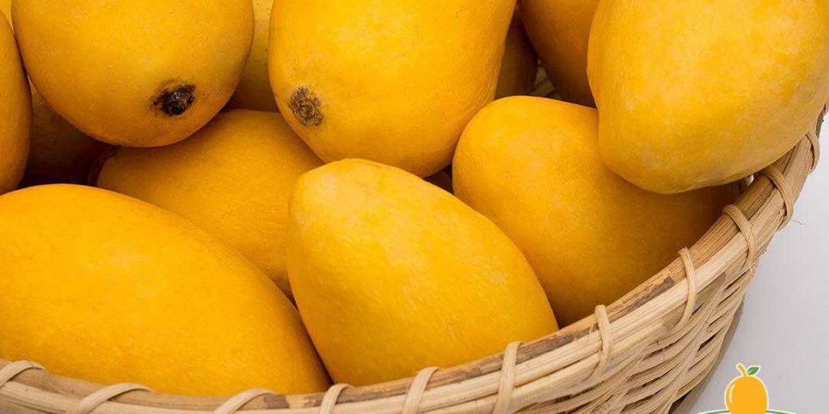 Pakistani Mango Price in Pakistan Complete Guide 2026