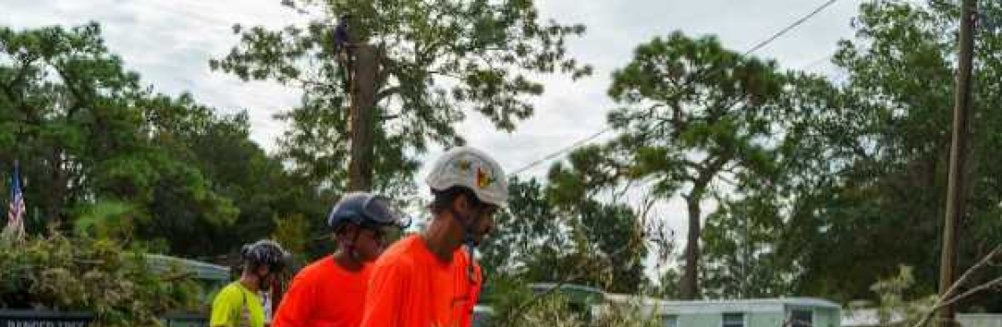 Ranger Tree Care LLC Cover Image