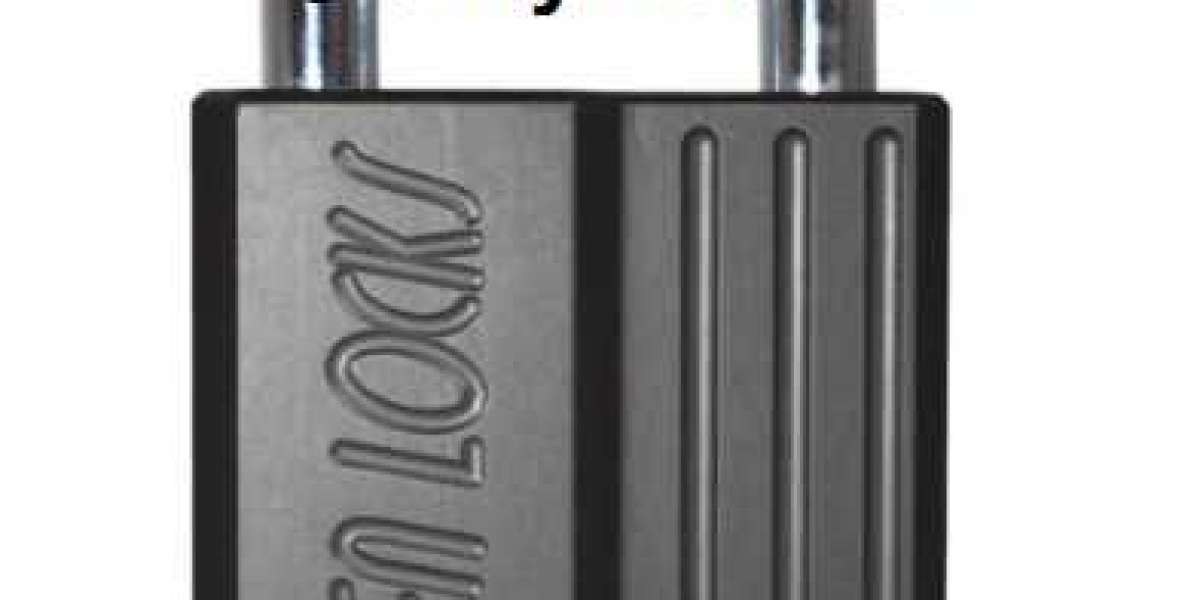 Wholesale High Quality Padlock with Wushilocks Security