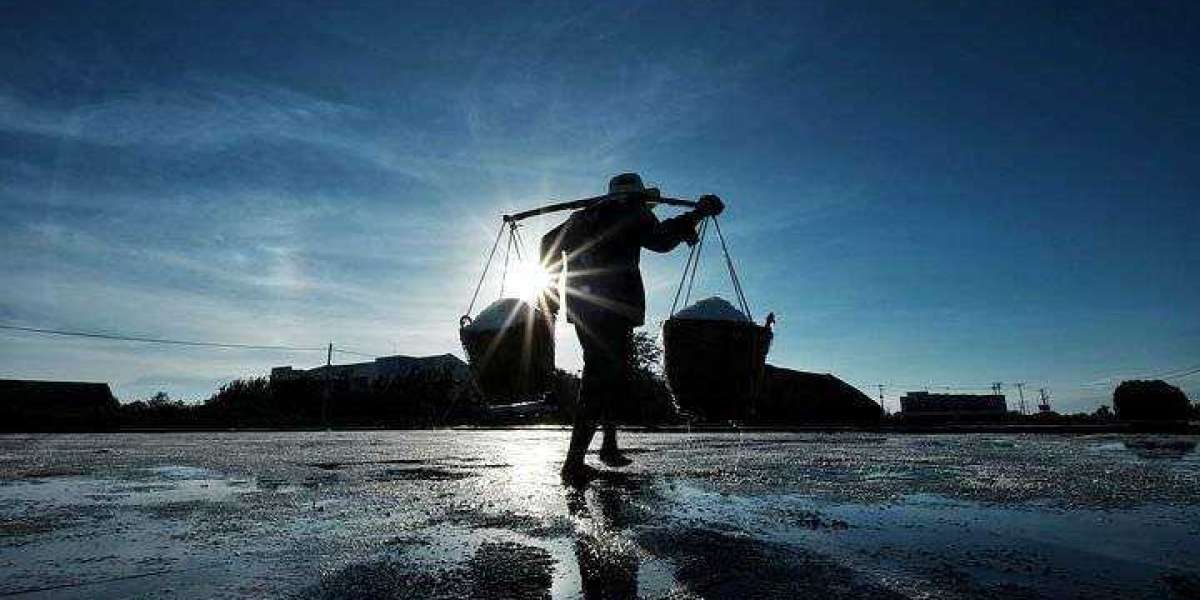 Orthopedic Surgeon in Bayonne