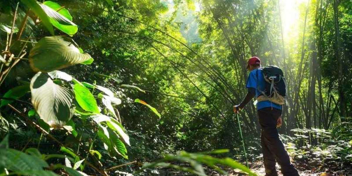 Explore the Best Manu National Park Tour Itinerary