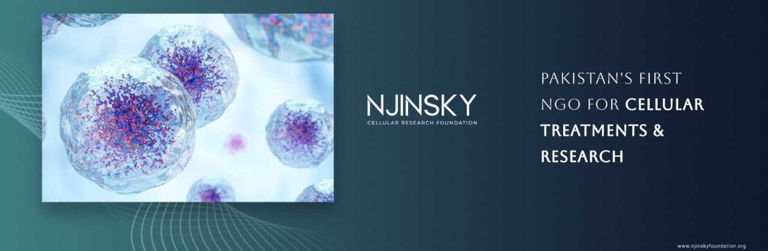 Njinsky Foundation Cover Image