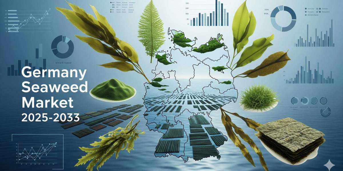 Germany Seaweed Market Size: Key Data, Growth Drivers, and Strategic Outlook for 2025 to 2033
