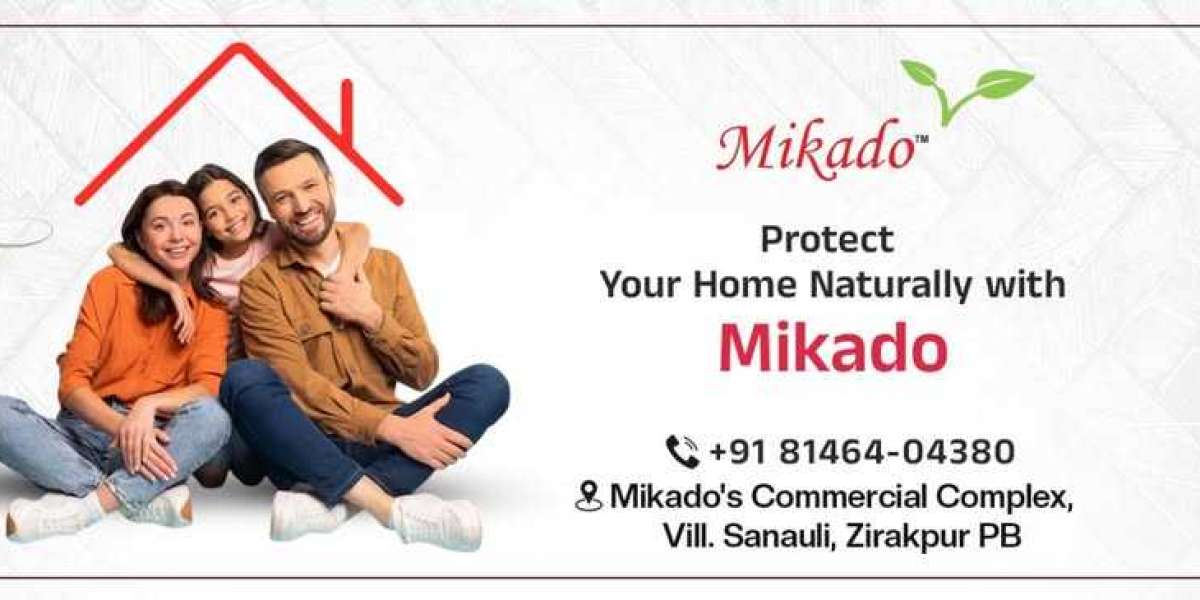 How to Effectively Keep Your Home Lizard-Free with Natural Solutions