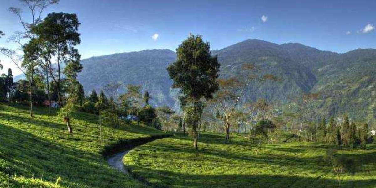 Book Darjeeling Tour Package at Best Price – Limited Offers