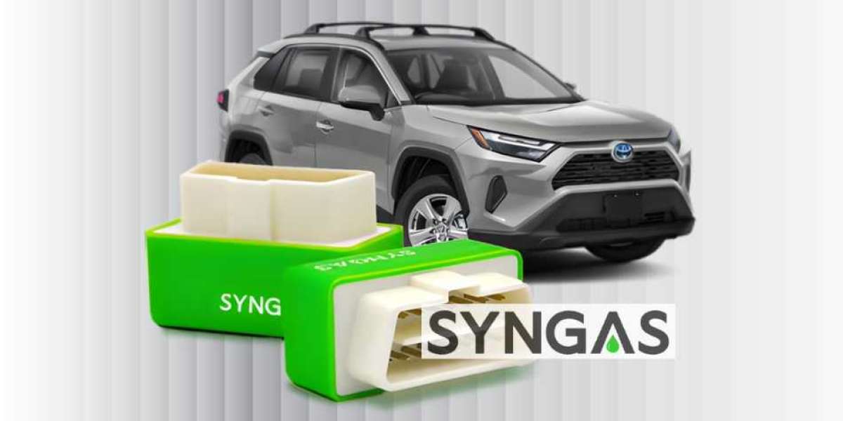 SynGas Stecker : Bewertungen! Preis! Kaufen! Erfahrungen