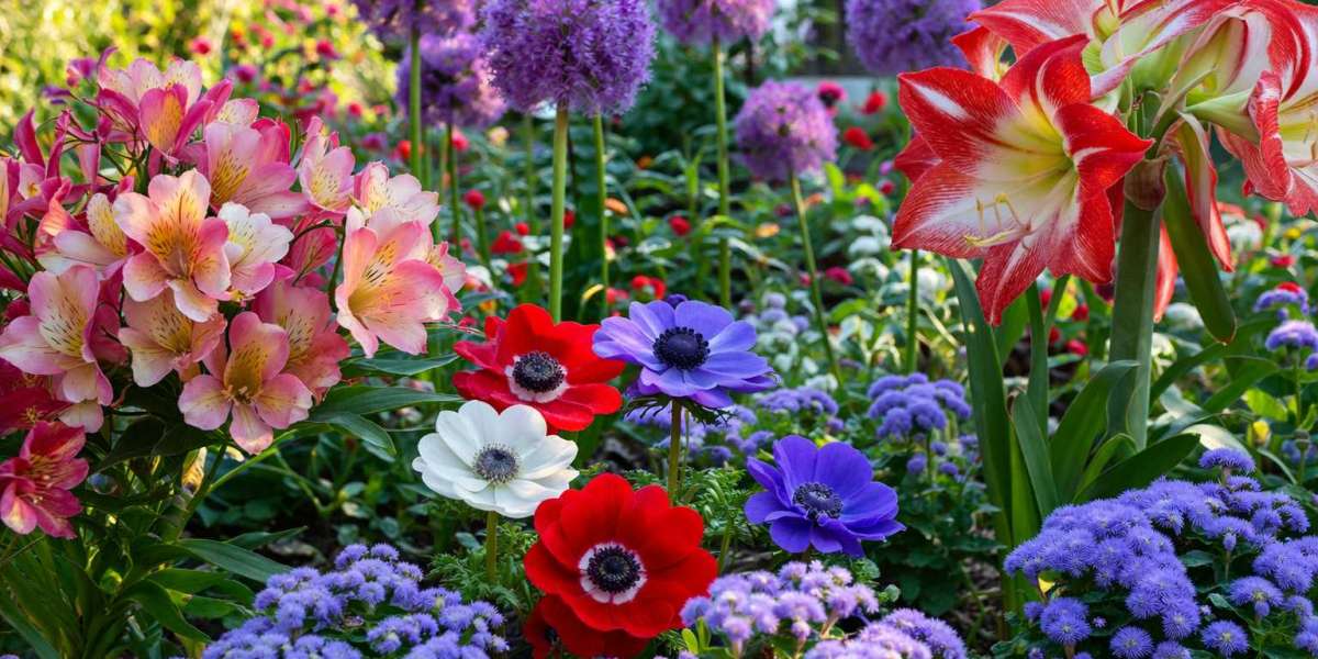 Flowers That Start With A: Best Types, Names & Growing Tips