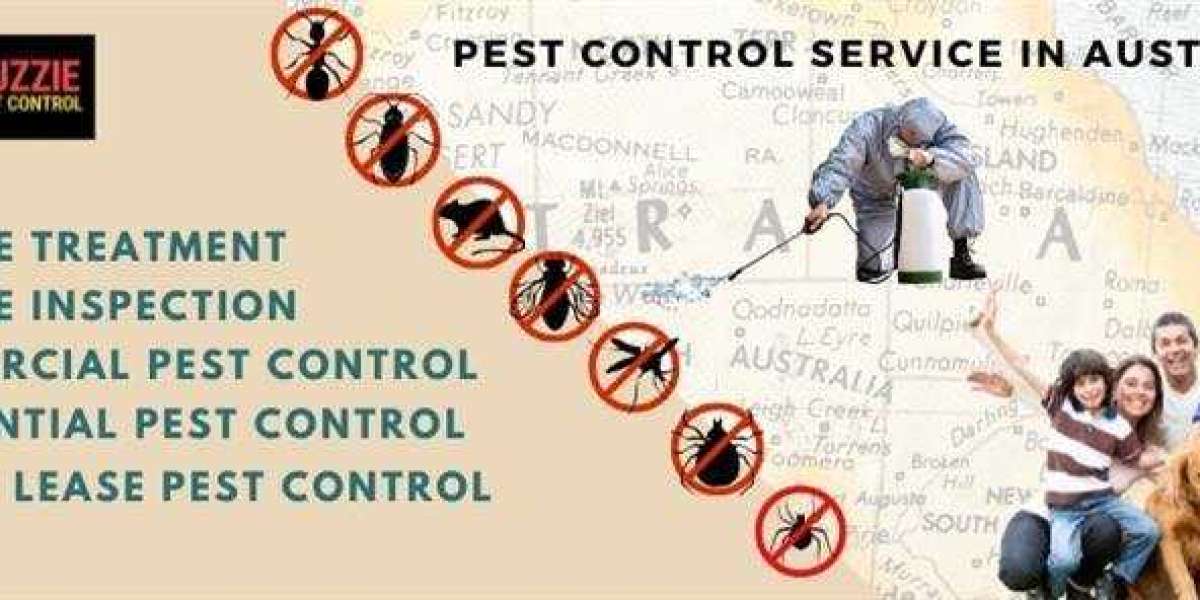 What Happens During Professional Termite Treatment Service?