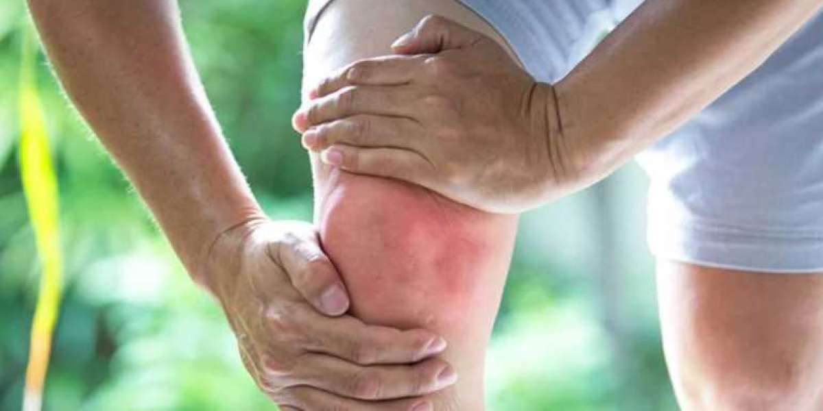 TheraWolf Customer Reviews & Ratings: Real TheraWolf Experiences