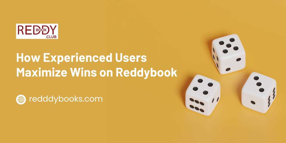 How Experienced Users Maximize Wins on Reddybook