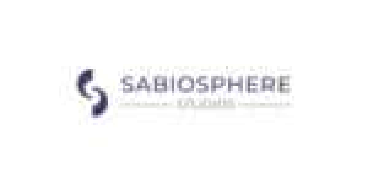 Best Interior Designers in Gurgaon & Delhi NCR – Transform Spaces with SabioSphere Studios
