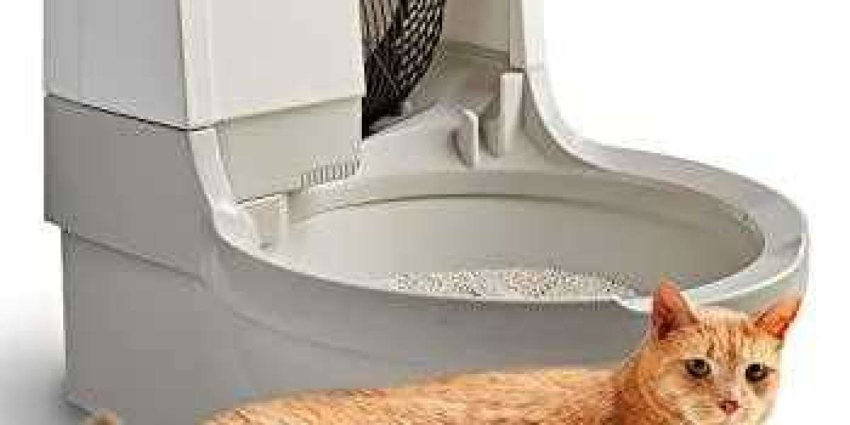 Can Cat Litter Box Automatic Cleaning Change Daily Pet Care?