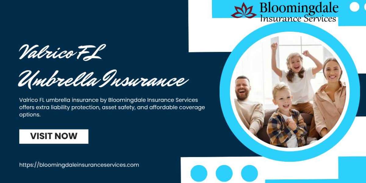 Valrico FL Umbrella Insurance Protection Guide by Bloomingdale Insurance Services for Complete Financial Security