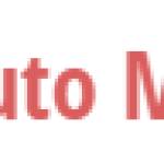 Perth Auto Mechanic Profile Picture