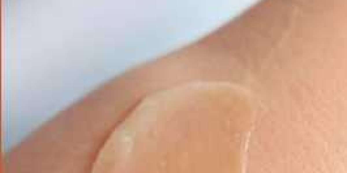 Thera Wolf: The Perfect Blend of Nature, Comfort, and Daily Wellness