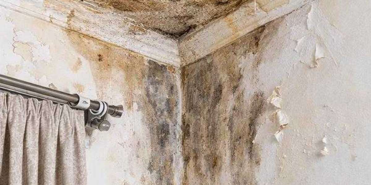 Roof Waterproofing Solutions | Ultimate Guide for 2026