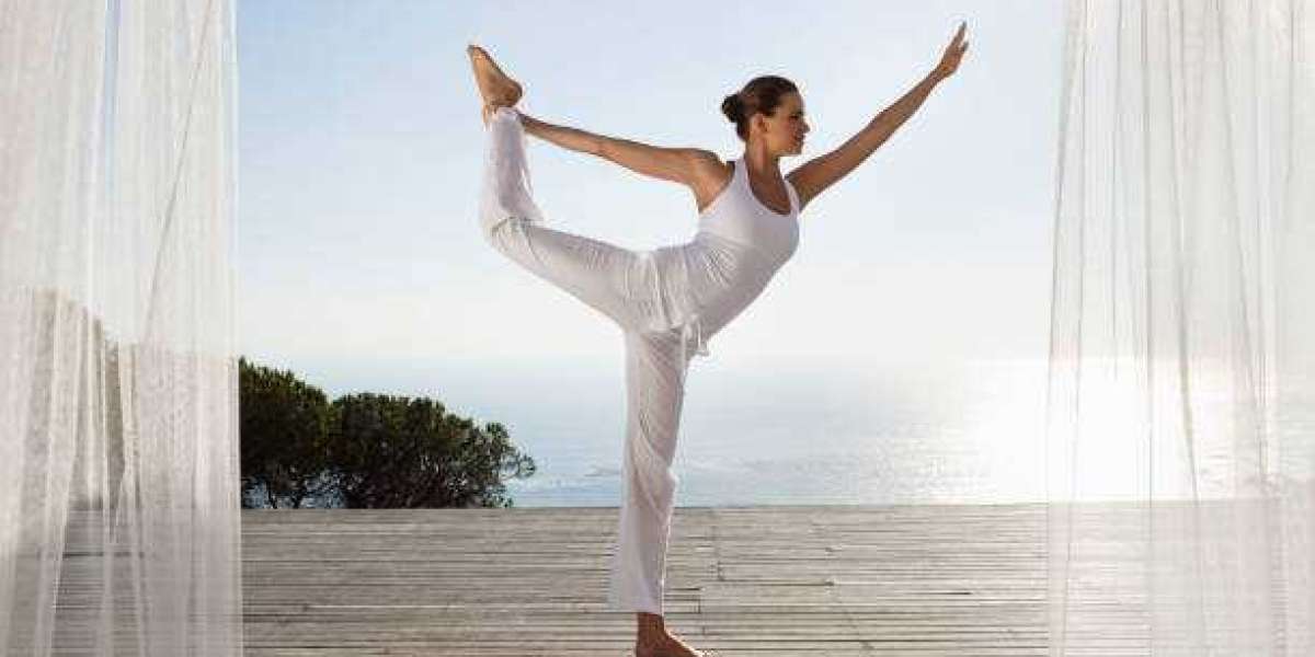 Wego6 Danmark: Hemmeligheden Bag Bedre Metabolisme og Mindre Træthed