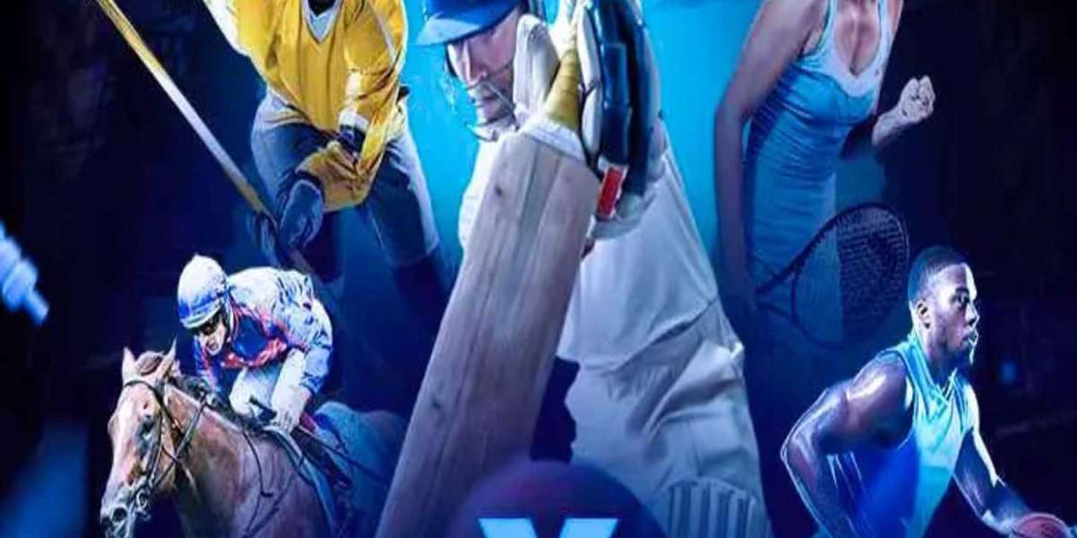 Winexch: A Complete Guide to Features, Benefits, and User Experience