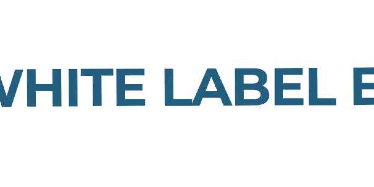 Informative Overview of SEO Reseller Plans Bakersfield