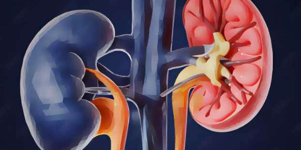 Benefits of Choosing the Best Urologist in Patna