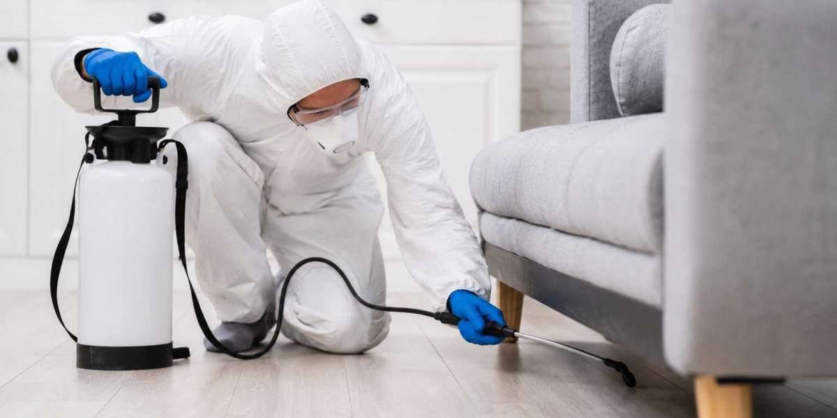 Delaware Pest Pros Trusted Pest Control Services in Wilmington DE