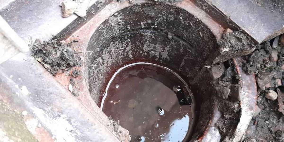 Root Intrusion in Drains: How CCTV Surveys Detect Hidden Problems
