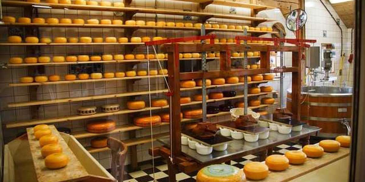 Canada Food Processing Equipment: Types and Their Uses in Modern Food Production