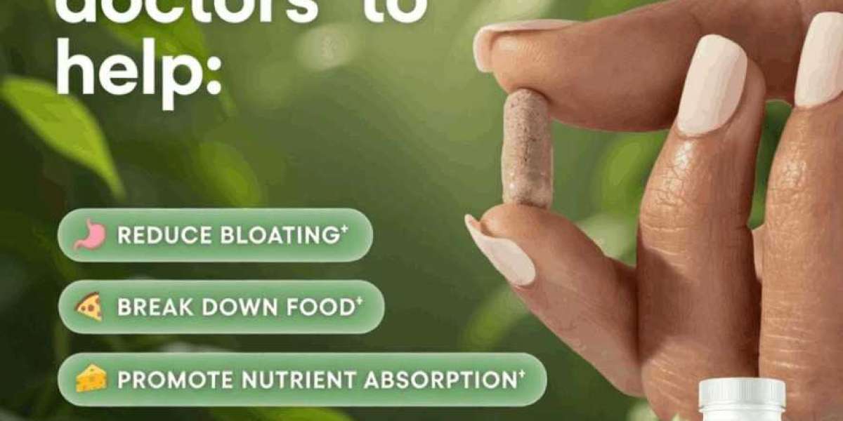 SlimLeaf Probiotic Weight Support for Gut Health & Digestion - Who Should Use SlimLeaf?
