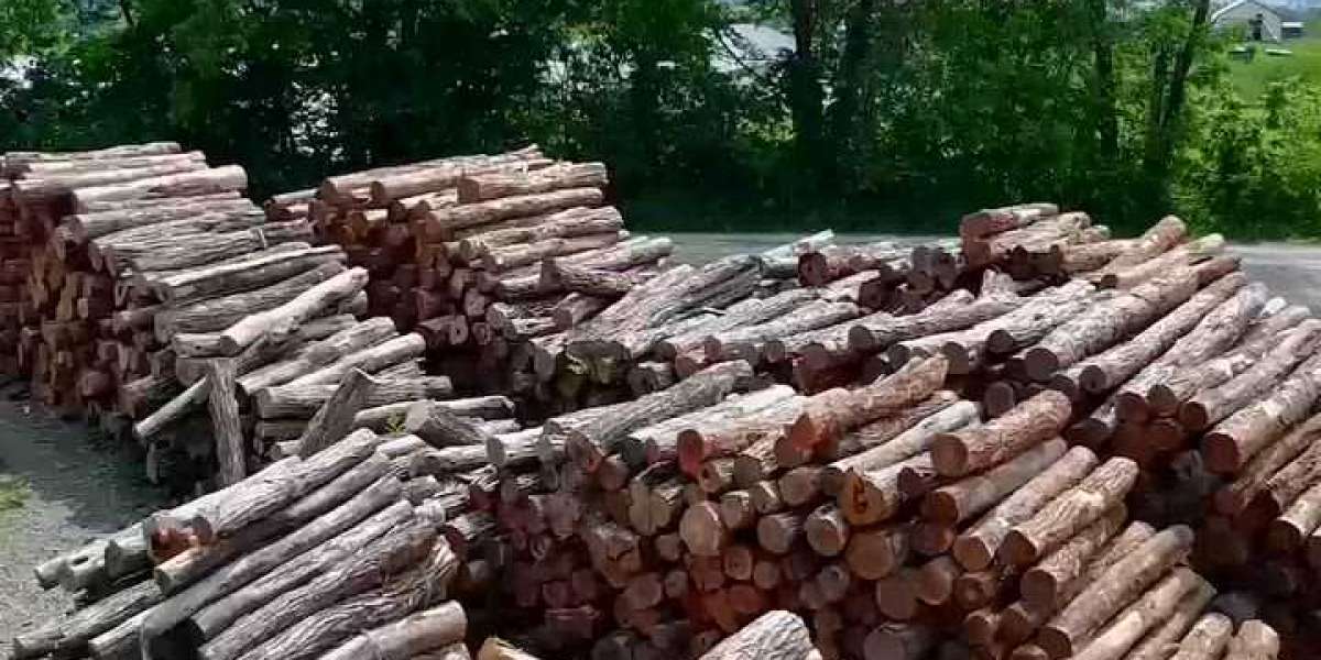 Why Buy Black Locust Wood? The Smart Choice for Durable and Sustainable Projects