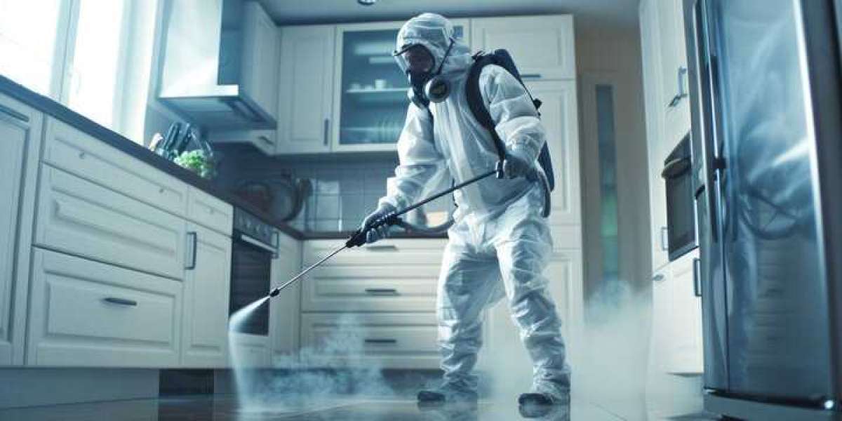 Smart Cockroach Control Plans for Every Property Size
