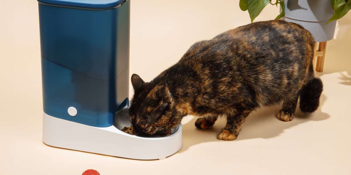 Cat Feeder with Collar Sensor for Multiple Cats Complete Guide