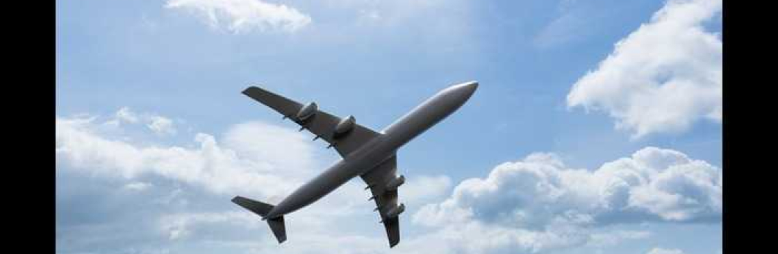 Rushmy Flight Cover Image