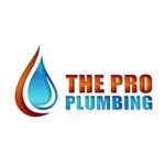 The Pro Plumbing Profile Picture