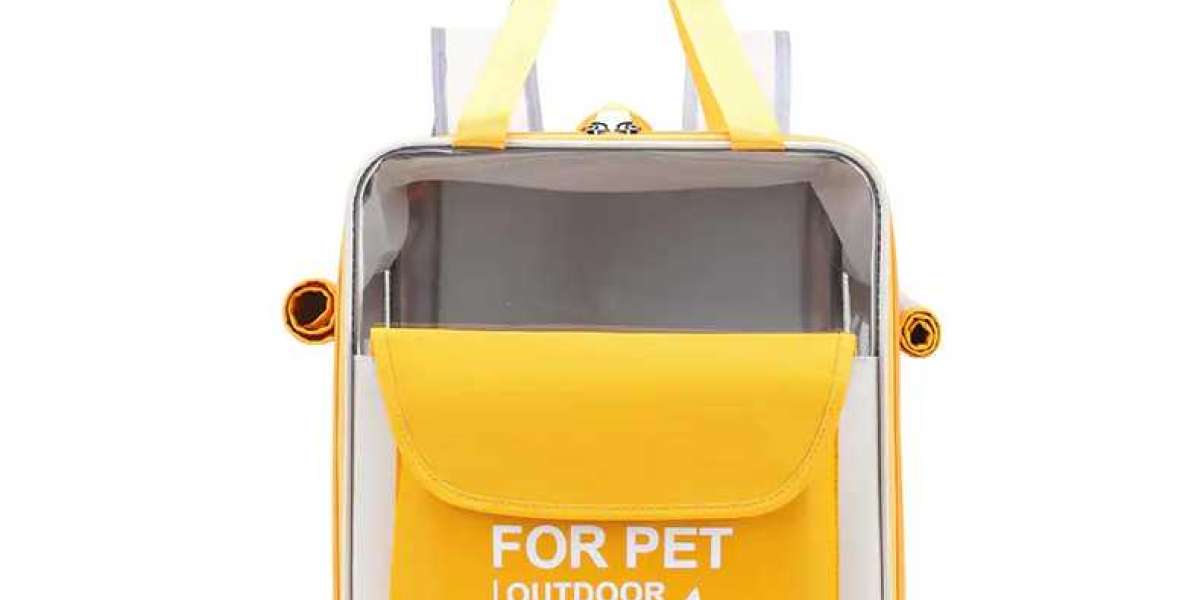 Convenient Pet Carriers for Everyday Use