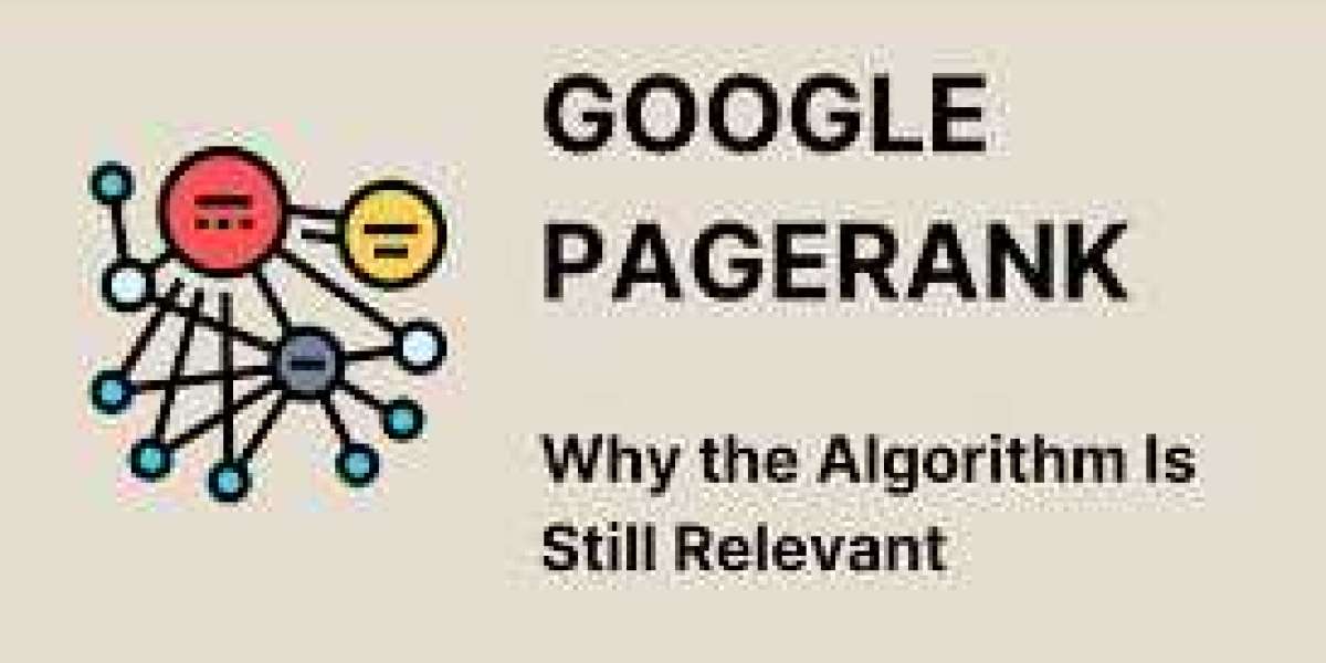 How Do Domain Age, Google PageRank, and Alexa Rank Reflect Website Authority?