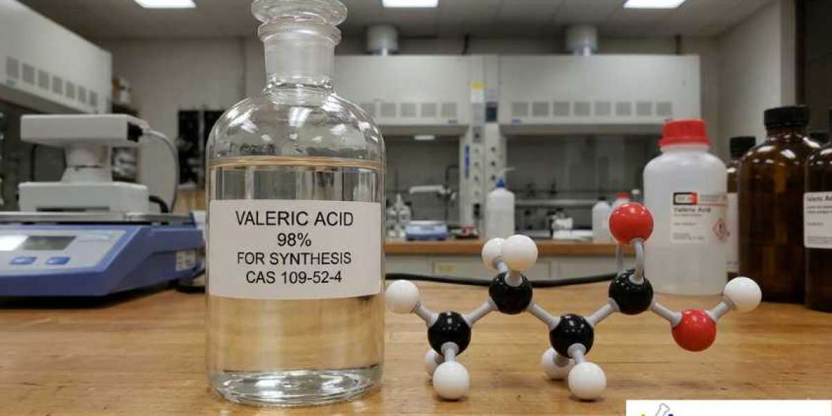 Valeric Acid Price: Global Market Trends, Analysis, and Forecast Outlook