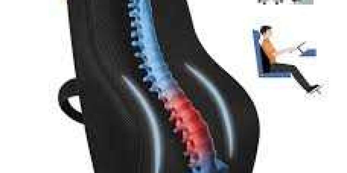 Advanced Memory Foam Lumbar Support Backrest from Yiyoubaotechnology