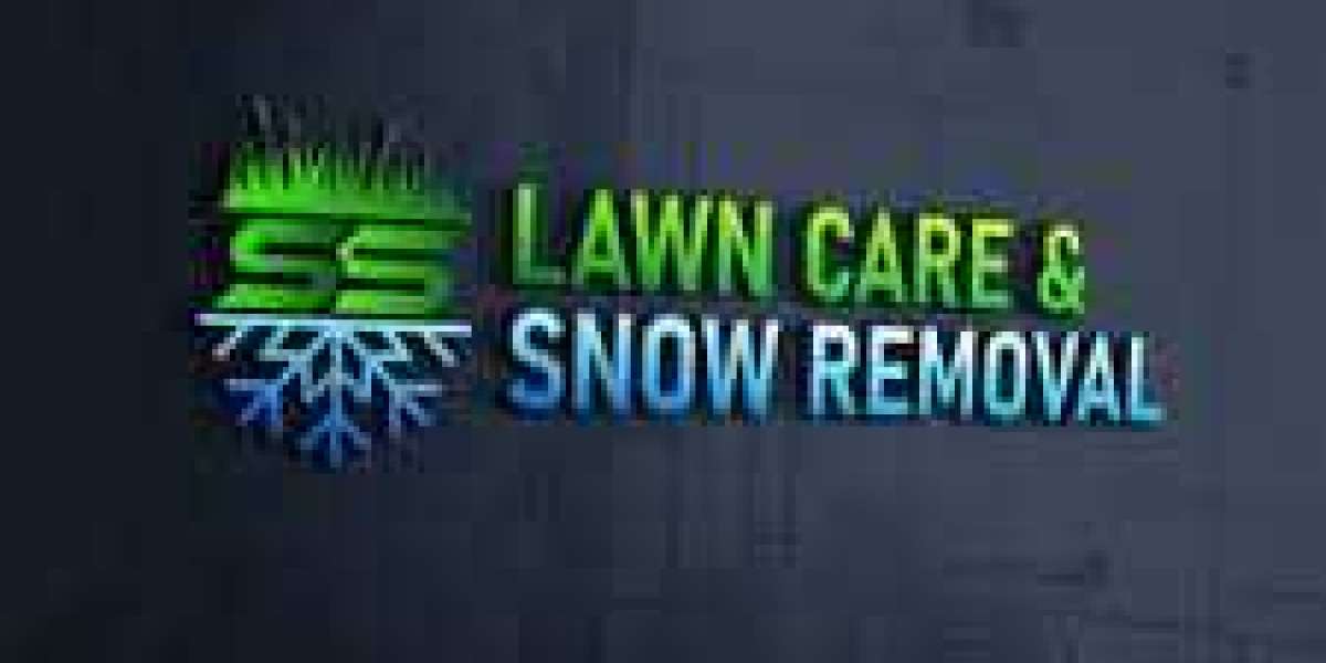 New Sod Installation at Brampton – Fast, Fresh & Professional Lawn Solutions