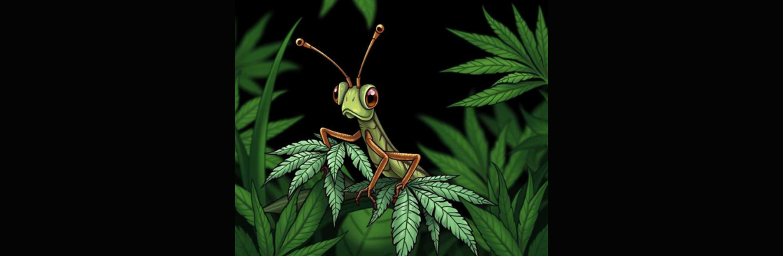 Grasshopper Canna Cover Image