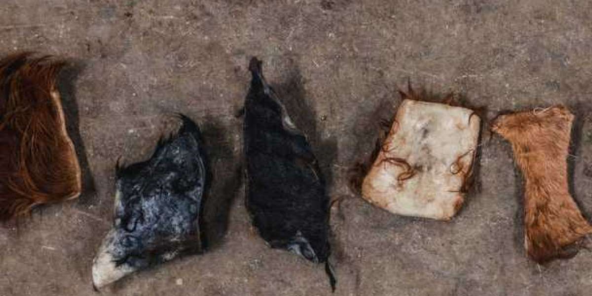Article Picture