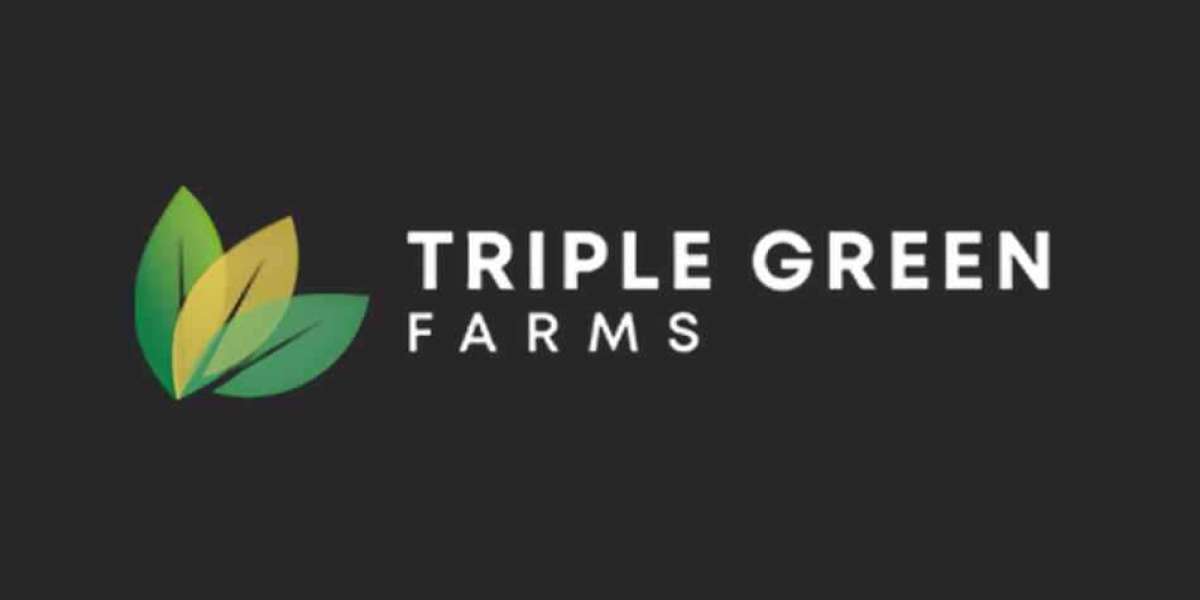 Why Triple Green Farms CBD Gummies Are Gaining Popularity Among CBD Users?