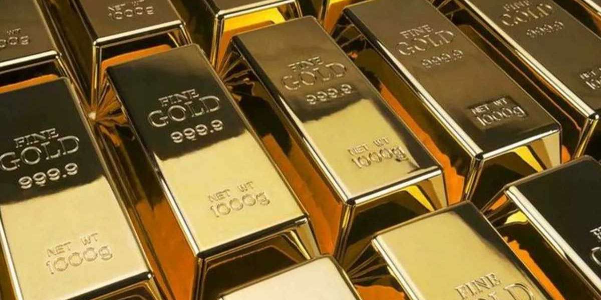 A Complete Comparison of Gold IRA Providers: Charges, Storage, and Returns