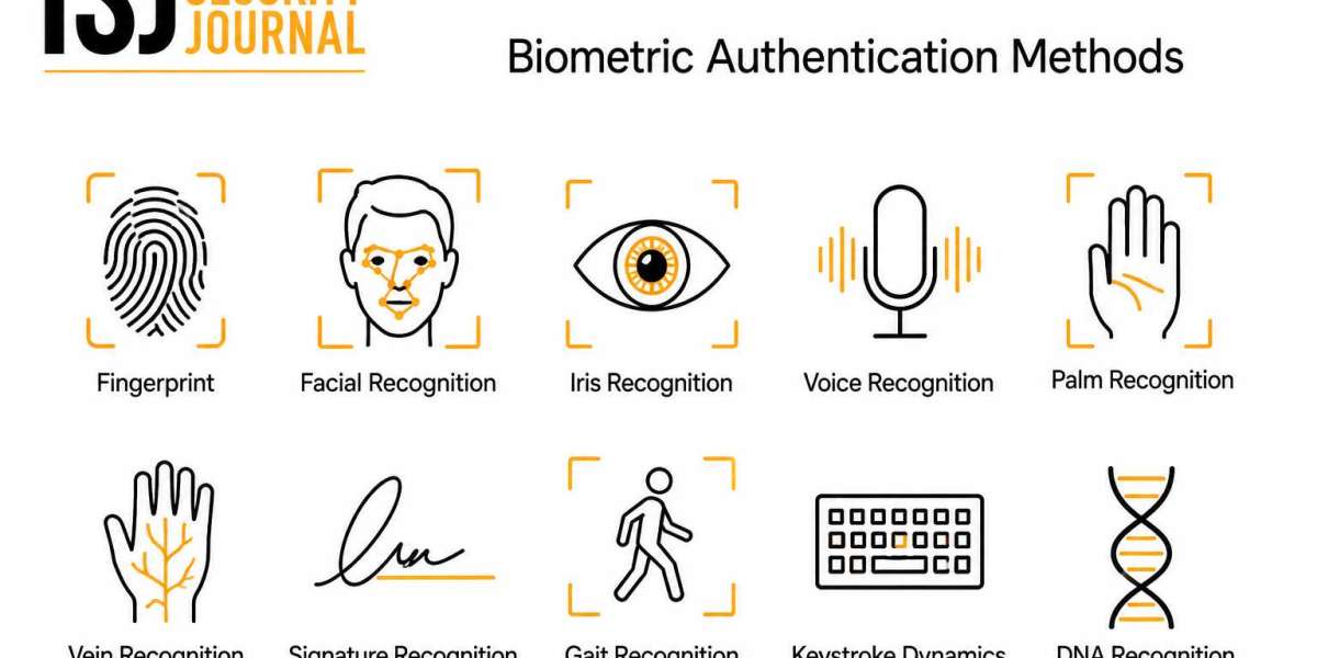 Can Biometric Authentication Methods Reduce Identity Fraud and Cybersecurity Risks?