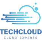 TechCloud IT Services L.L.C. Profile Picture